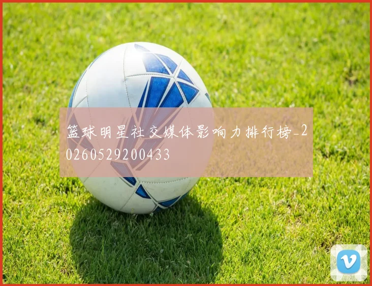 篮球明星社交媒体影响力排行榜_20260529200433